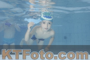 Photo 4230449