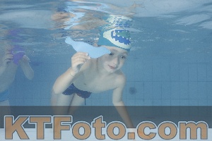 Photo 4230450