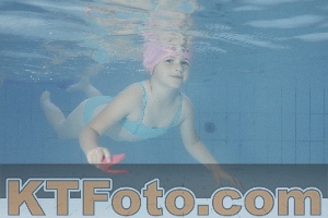 Photo 4230452