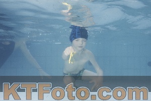 Photo 4230454