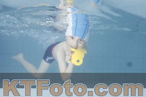 Photo 4230457