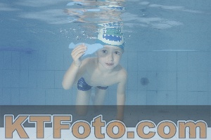 Photo 4230465
