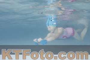 Photo 4230487