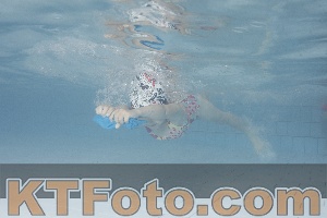 Photo 4230488