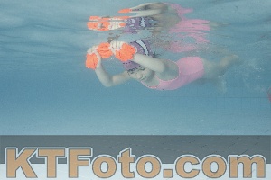 Photo 4230491