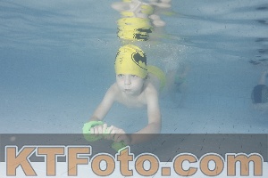 Foto 4230499