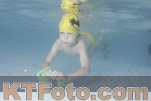 Foto 4230500