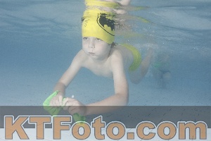 Foto 4230501