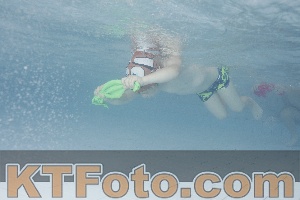 Foto 4230502
