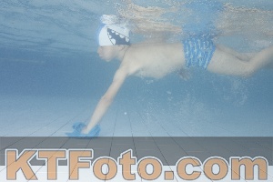 Foto 4230506
