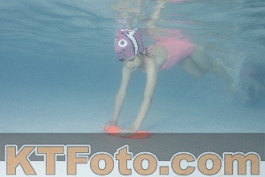 Foto 4230511