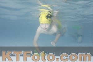 Foto 4230516