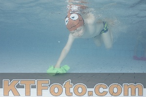 Foto 4230519