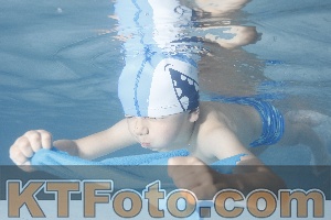 Foto 4230523