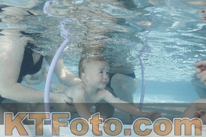 Photo 4230600