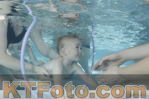 Photo 4230601