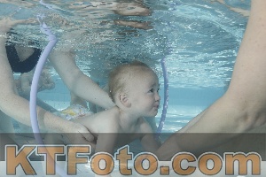 Photo 4230602