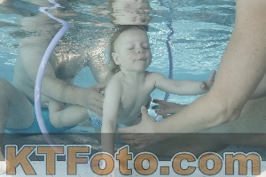 Foto 4230606