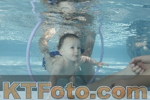 Foto 4230608