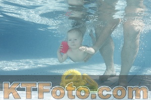 Photo 4230759