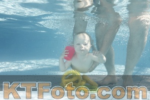 Photo 4230760