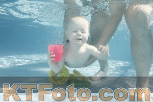 Photo 4230761