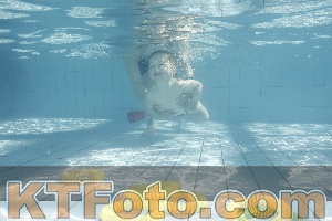 Foto 4230769
