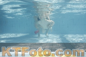 Foto 4230770