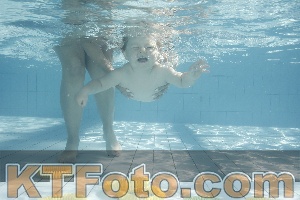 Photo 4230774