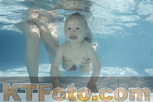 Photo 4230778