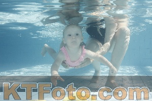 Photo 4230784