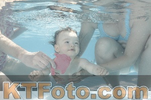 Foto 4230863
