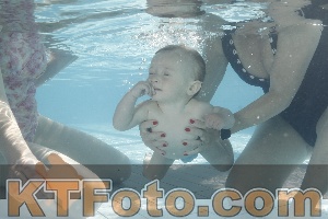 Foto 4230866