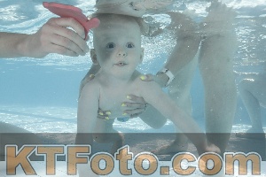 Foto 4230872
