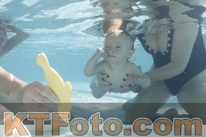 Foto 4230873