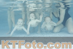Photo 4230905