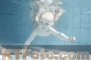Photo 4230907