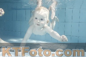 Photo 4230908