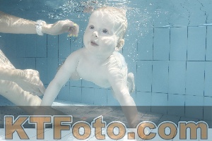 Photo 4230909