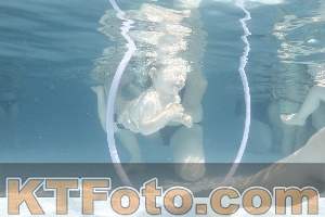 Photo 4230940