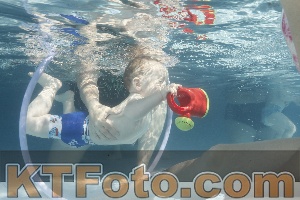 Photo 4230944