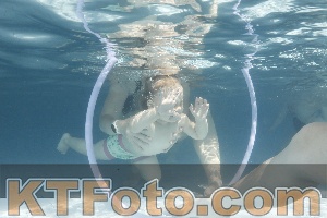 Photo 4230946