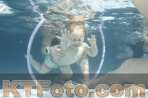 Photo 4230947