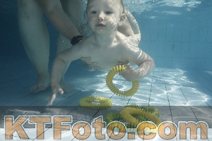 Photo 4230992