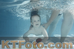 Photo 4230993