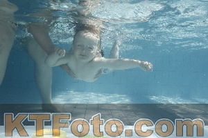 Photo 4230995