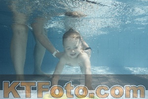 Foto 4230998