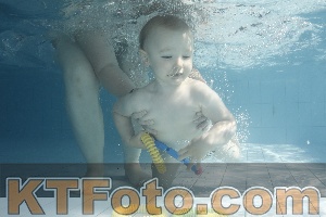 Foto 4231002