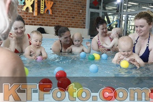 Photo 4231040