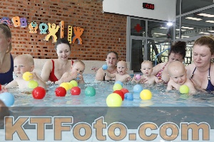 Foto 4231046